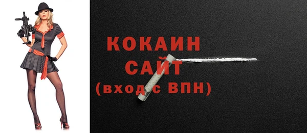молекула духа Волоколамск