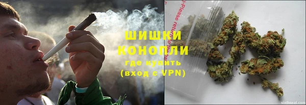 молекула духа Волоколамск