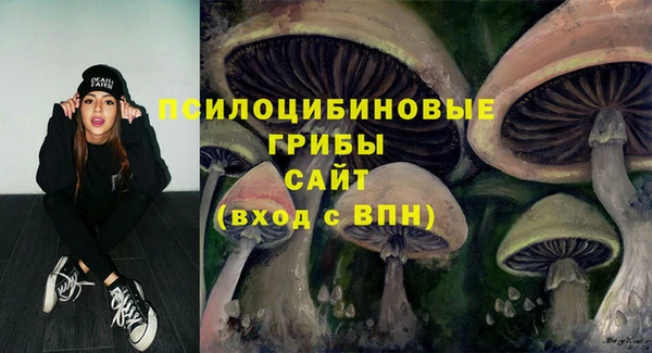 молекула духа Волоколамск