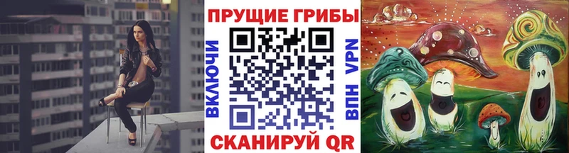 Галлюциногенные грибы Cubensis  Купить  Медвежьегорск 